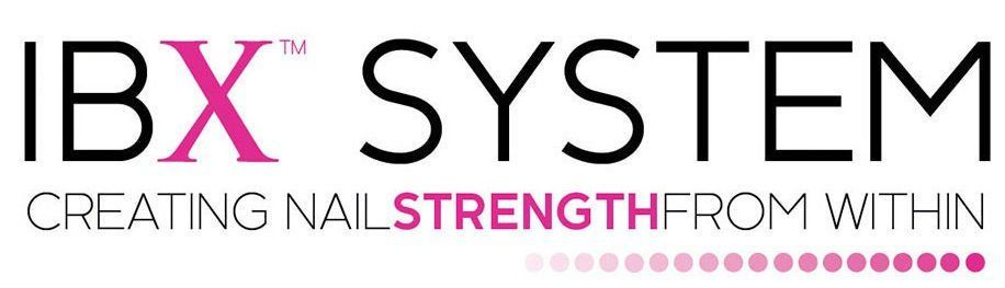 IBX SYSTEM logo