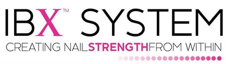 IBX SYSTEM logo