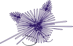 the kosseted kat logo