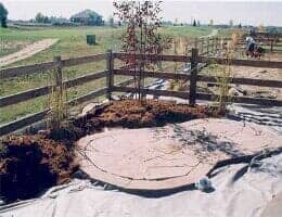 Home Landscaping, Landscaping Services