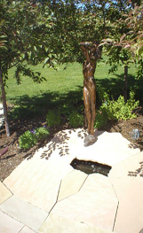 Home Landscaping, Landscaping Services