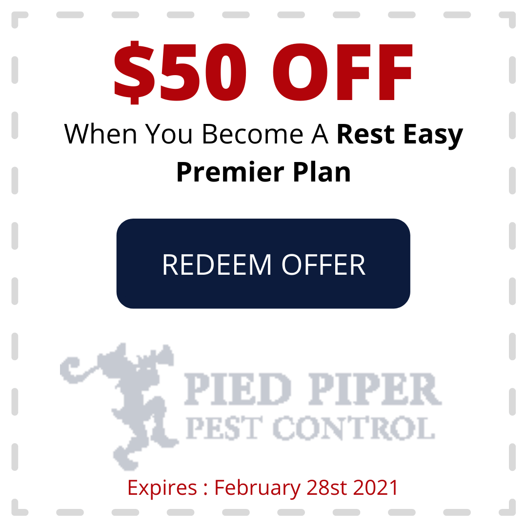 Coupon for $50 off Rest Easy Premier Plan from Pied Piper Pest Control. Redeem offer, expires Feb. 28, 2021.