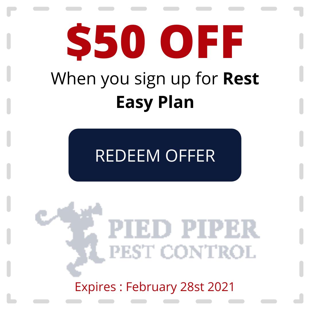 Coupon for $50 off Rest Easy Plan at Pied Piper Pest Control, with a