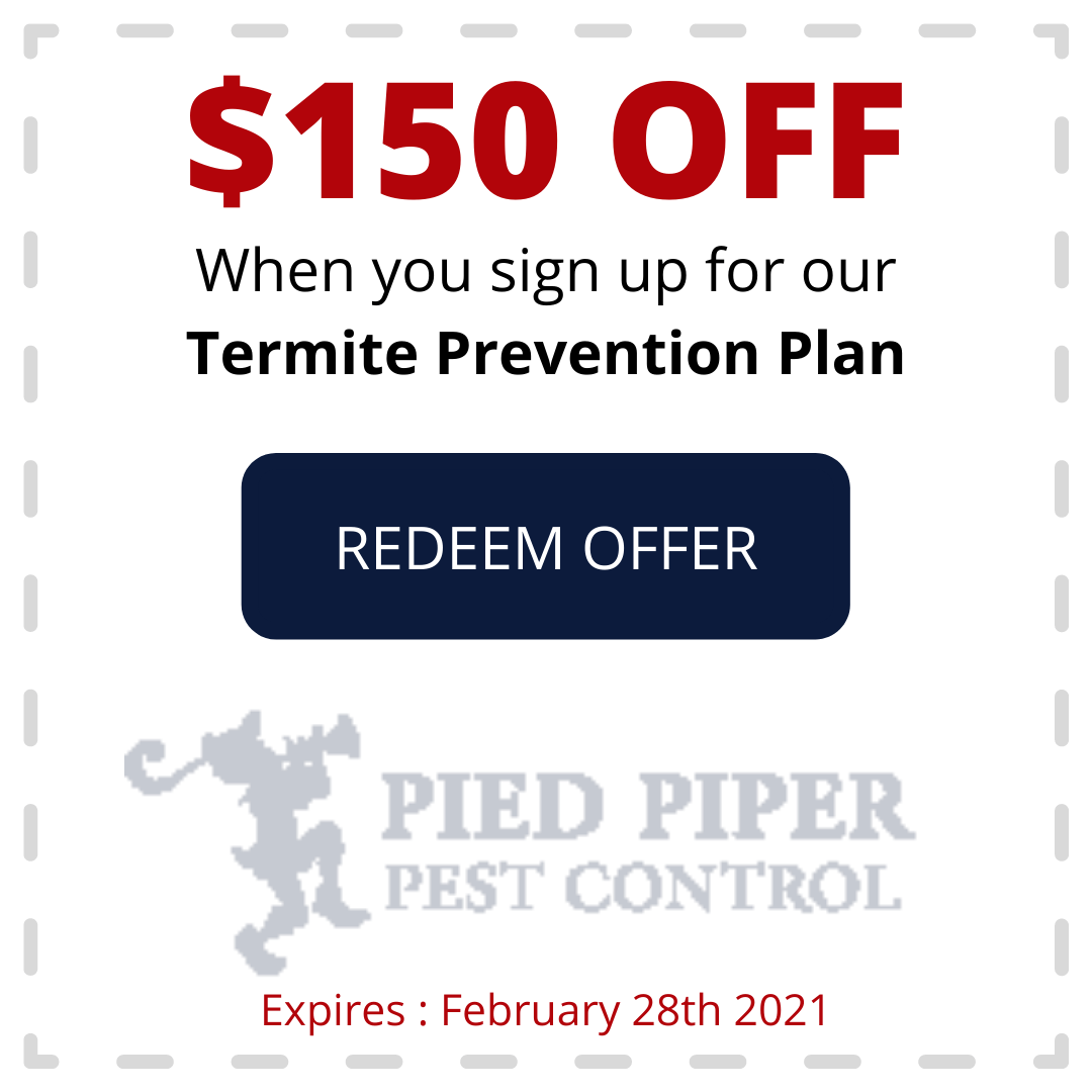 Coupon: $150 off Termite Prevention Plan from Pied Piper Pest Control. Redeem offer button. Expires February 28, 2021.