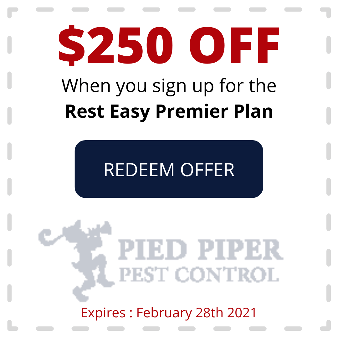 Coupon for $250 off the Rest Easy Premier Plan from Pied Piper Pest Control. Offer expires February 28th, 2021.