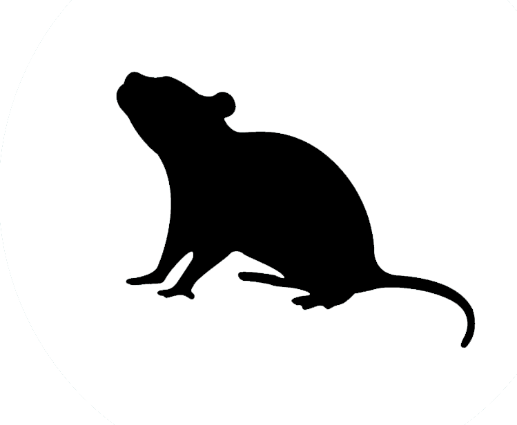 Silhouette of a rat with its head and front paws raised, tail curled, on a white background.