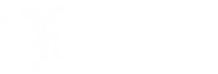 White vertical lines on white background.
