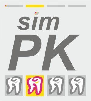 Logo der Systemprophylaxe sim-PK Logo der Systemprophylaxe sim-PK