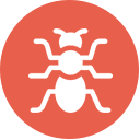 Ant