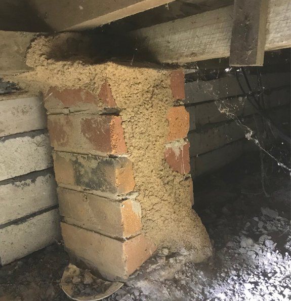 Termite Nest— Terminator Ant & Pest Control in Nambucca Heads, NSW