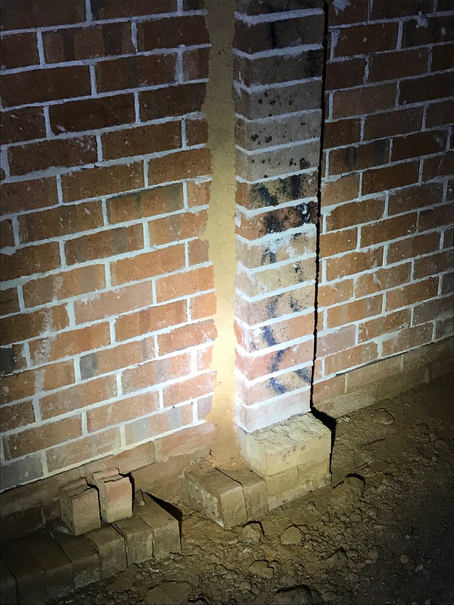 Mud Lead Caused By Termites — Terminator Ant & Pest Control in Nambucca Heads, NSW