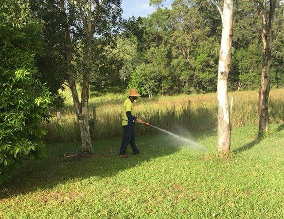 Pest Control Spraying Outside — Terminator Ant & Pest Control in Nambucca Heads, NSW
