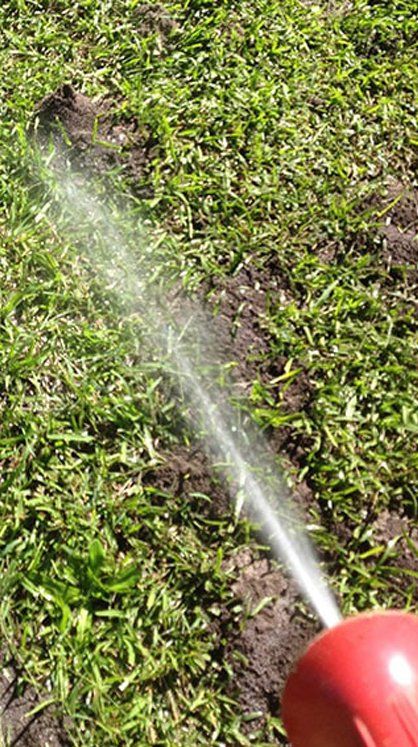 Spraying Funnel Ants — Terminator Ant & Pest Control in Nambucca Heads, NSW