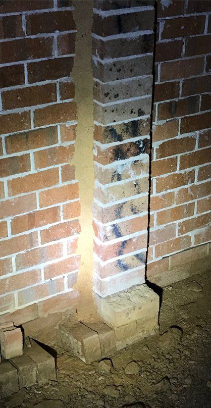 Mud Lead Caused By Termites — Terminator Ant & Pest Control in Nambucca Heads, NSW