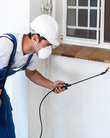 Pest Control Technician Spraying Window Sill — Terminator Ant & Pest Control in Nambucca Heads, NSW