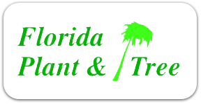 Florida Plant & Tree Florida Plant & Tree