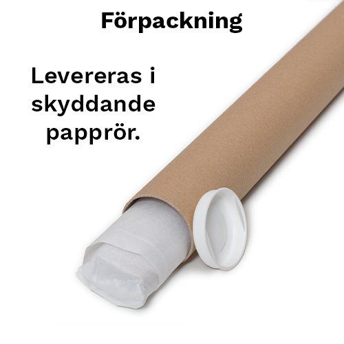 Posterhängare Expo