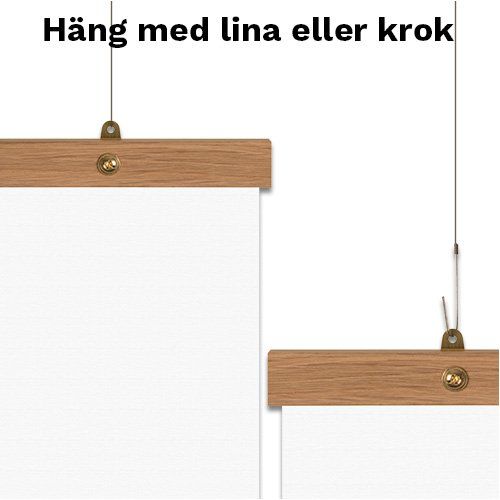 Posterhängare Expo