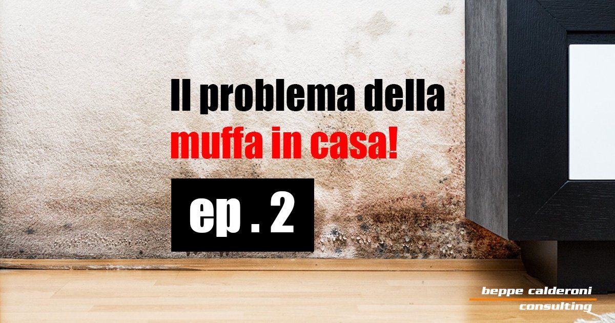 Il problema della muffa in casa! ep 2
