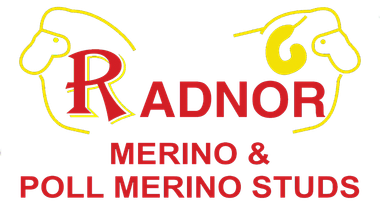 Radnor Logo