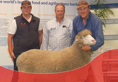 3 people with 1 sheep