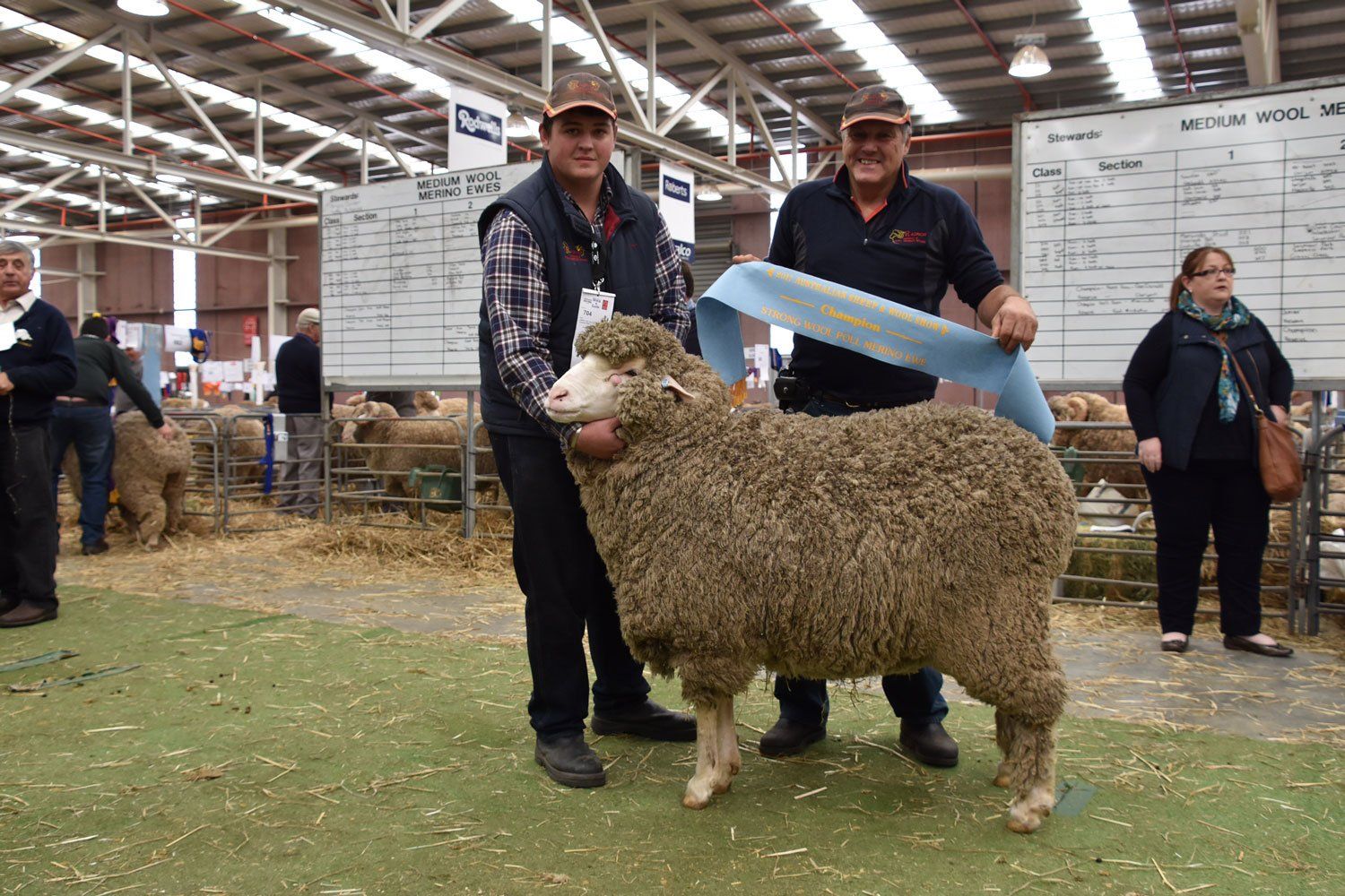 Bendigo 2017 Ewe