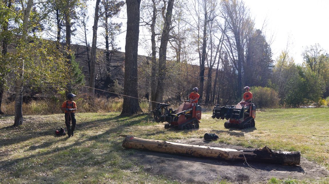 A group of people are sitting around a campfire in the woods.