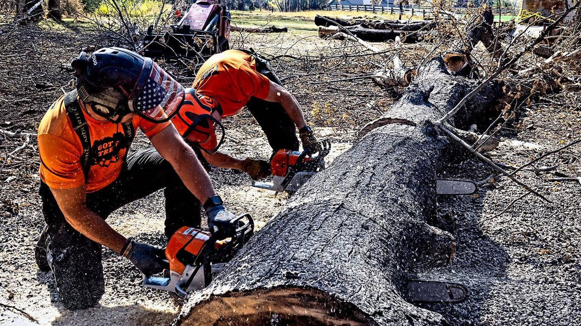 Two men are cutting a tree stump with chainsaws.