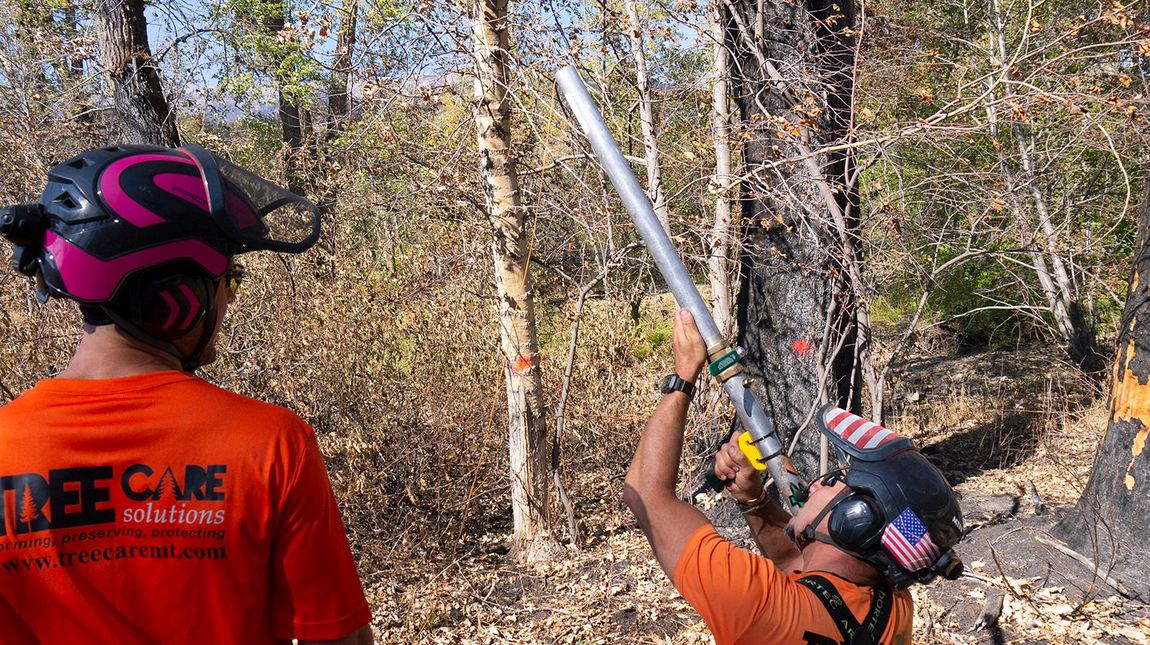 A man in a helmet is holding a stick in the woods.
