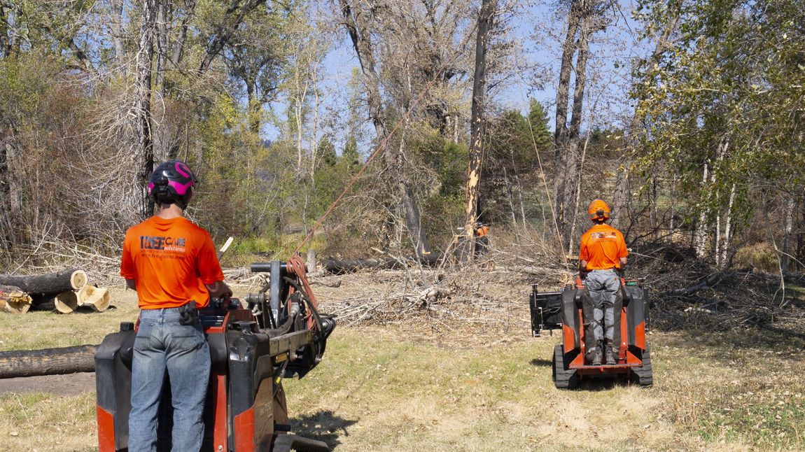 Two men are riding tractors through a forest.