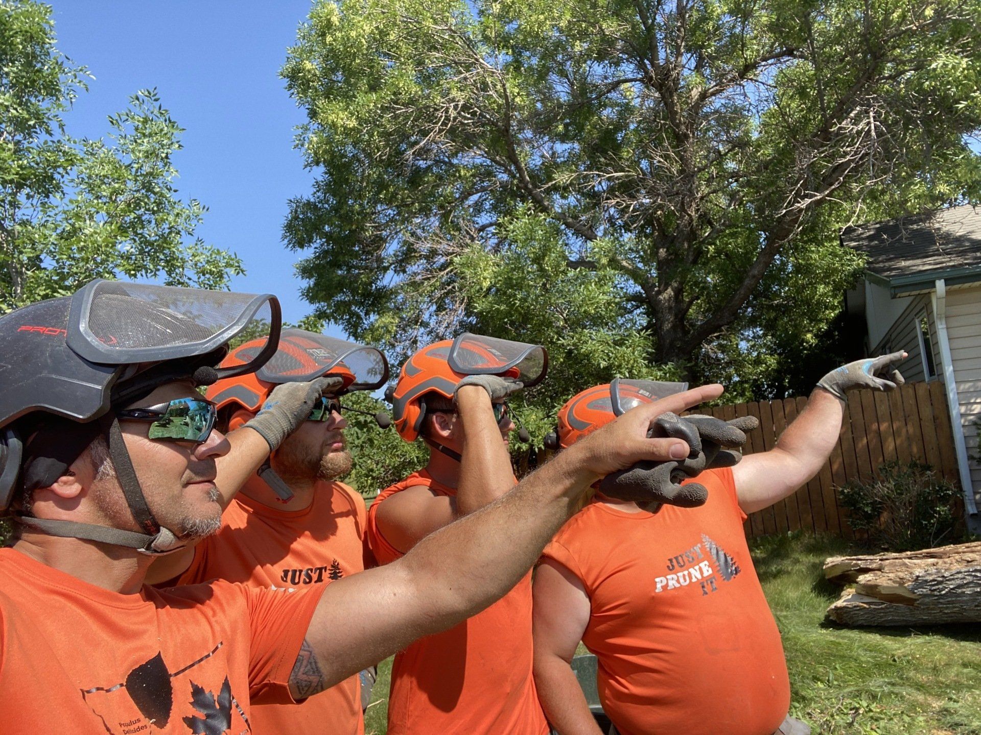 A group of men wearing helmets and gloves are pointing at a tree.