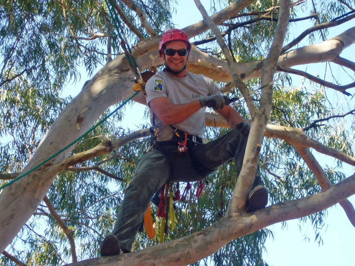 A man wearing a helmet is sitting on a tree branch