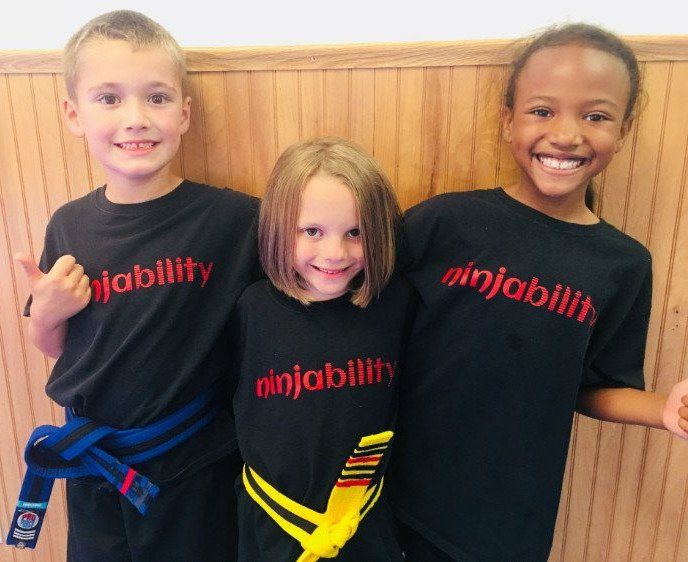 Ninjability martial arts for 7 and 8 year olds Pittsburgh South Hills PA