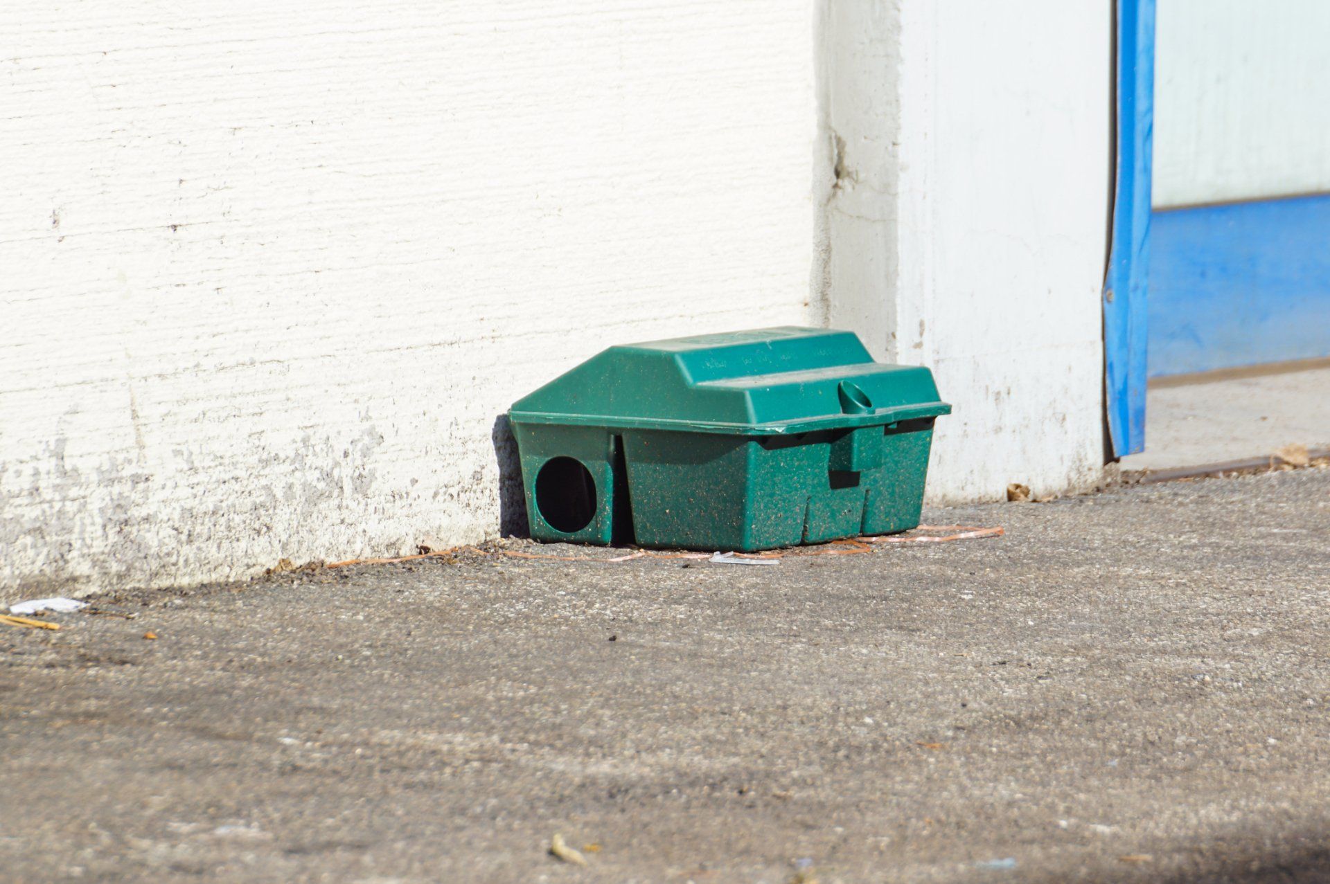Animal Hooking — A Trap Besides the Wall in Salinas, CA Animal Hooking — A Trap Besides the Wall in Salinas, CA