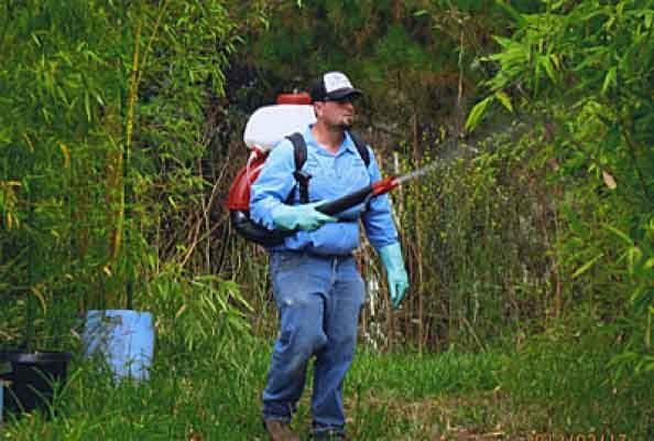 Bug Control — Worker on Spraying in Salinas, CA Bug Control — Worker on Spraying in Salinas, CA