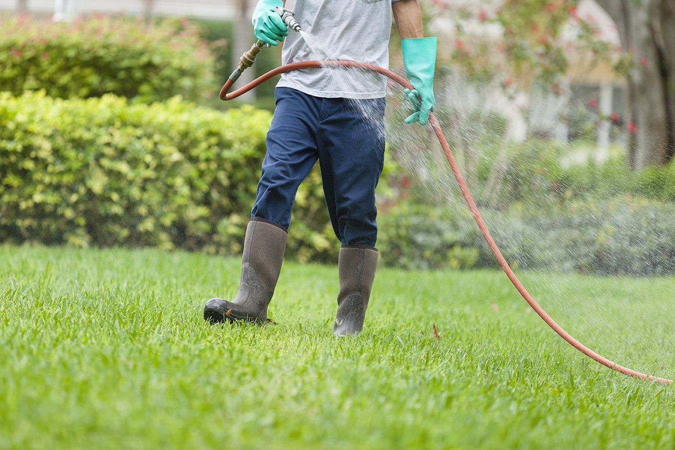 Weed Spraying — Spraying the Grass in Salinas, CA
