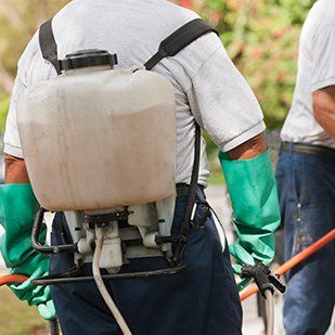 Tree Spraying — Spraying a Trees in the Garden in Salinas, CA Tree Spraying — Spraying a Trees in the Garden in Salinas, CA