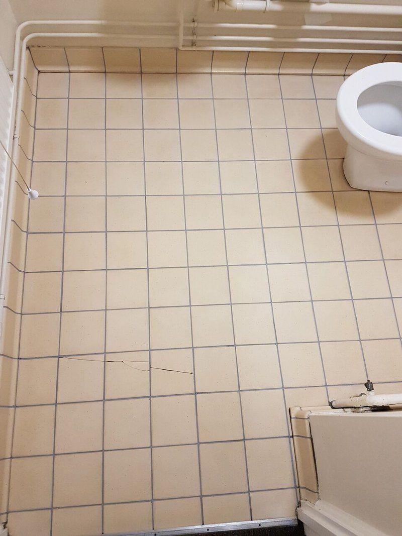 grout cleaning