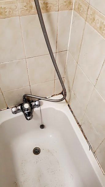Shower Grout Cleaning