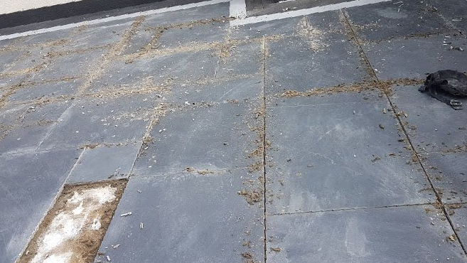 Slate Patio Regrouting