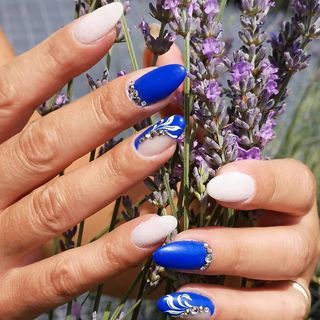 Mani con unghie blu e bianche, che tengono fiori di lavanda.