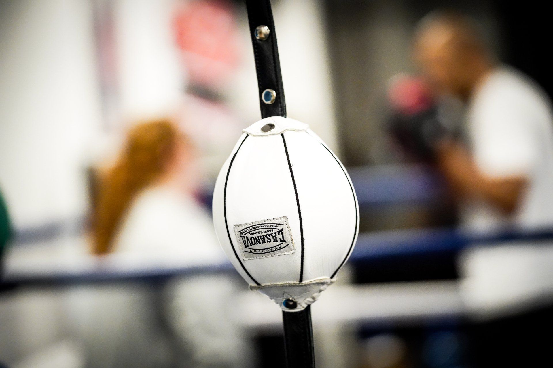Gym Equipment