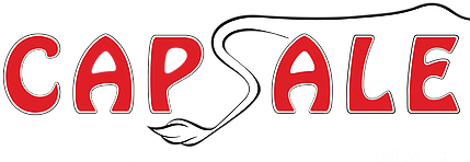 Cap Sale Logo