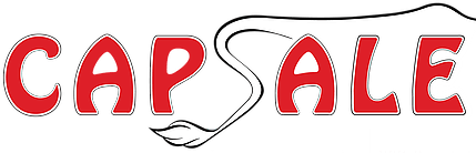 John Atkinson Logo