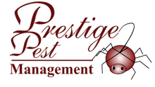 Prestige Pest Management Prestige Pest Management
