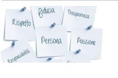 cammeo distributori cammeo distributori
