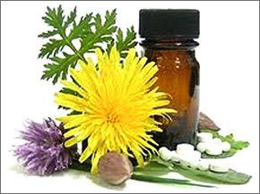 Homeopathy - Fareham - A B Benstead - Flower Homeopathy - Fareham - A B Benstead - Flower