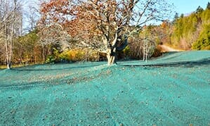 Hydroseeding — Landscaping in North Attleboro, MA Hydroseeding — Landscaping in North Attleboro, MA