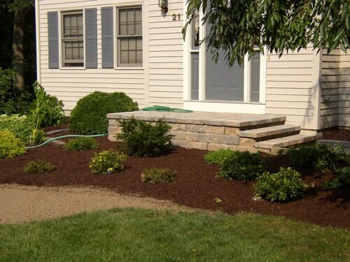 Front yard bushes in North Attleboro, MA