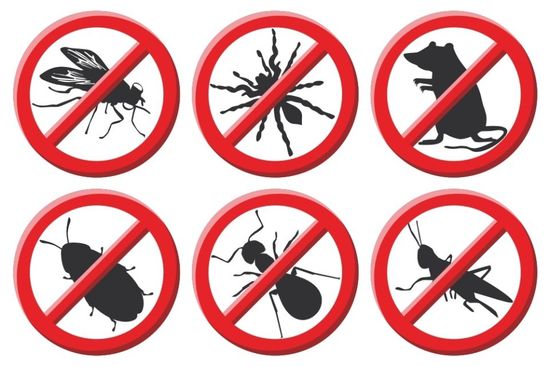 insetti per cui viene fatta la disinfestazione